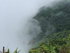 -梧桐山风景名胜区