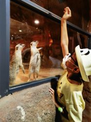 -酷嗒动物文化乐园(cutezoo西溪乐天城店)