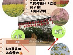 -天适樱花悠乐园