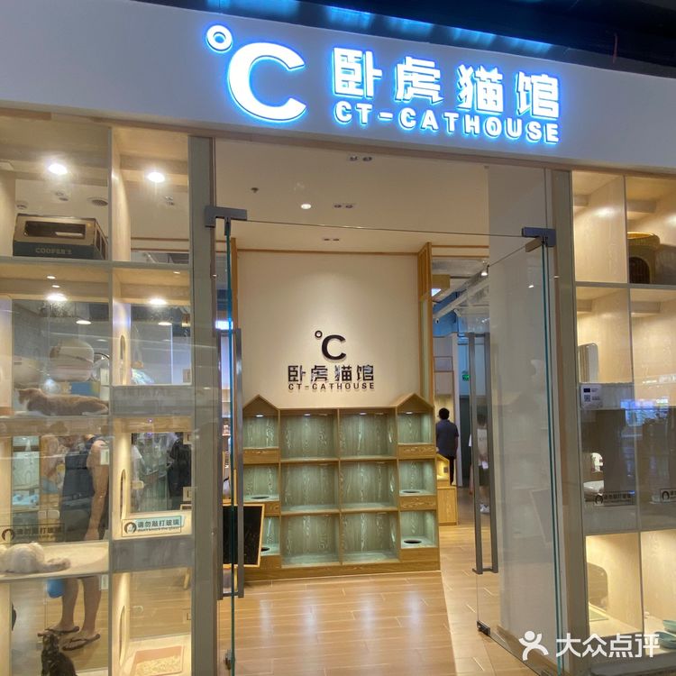 深圳探店｜一起撸猫🐱一起喵喵喵🐱