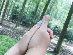 -东平国家森林公园
