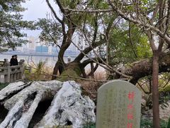 -江心屿景区