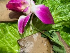 -东来顺饭庄·火锅(环岛店)