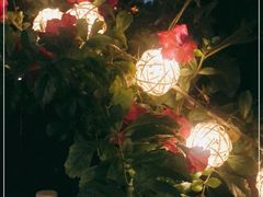-Mercato莫卡多露台餐厅与酒吧(K11店)