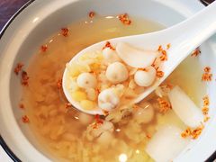 -子福慧(虹桥店)