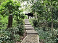 -上海佘山国家森林公园天马山园