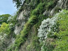 -少华山国家森林公园