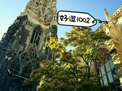 -斯蒂芬主教座堂(Stephansdom)