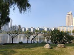 -月湖风景区