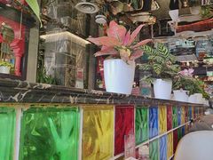 -巴依老爷新疆美食(清华东门店)