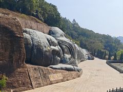 -三水森林公园