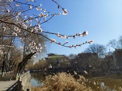 -文瀛公园