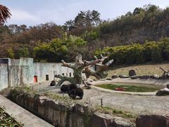 -宁波野生动物园
