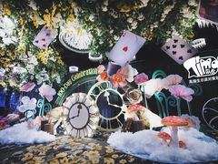 -Timo队长·高端生日派对策划机构(静安寺店)