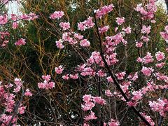 -河南省黄河迎宾馆