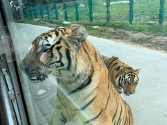 -西安秦岭野生动物园