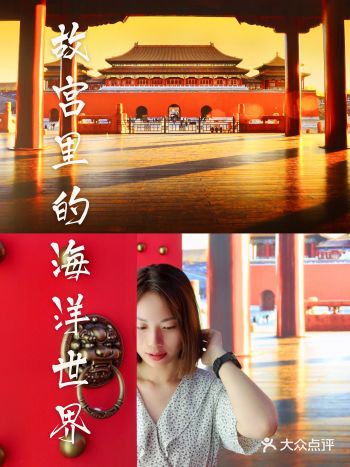 厦门看展速递｜故宫里的海洋世界终于来了️