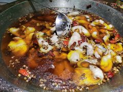 -雲蜀龙阁·金牌水煮鱼(方庄店)