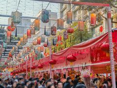 -越秀西湖花市(广州城市广场花卉店)