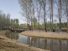 -东郊湿地公园