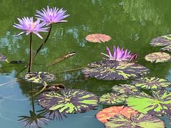 -国家植物园南园