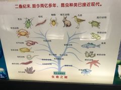 -上海昆虫博物馆