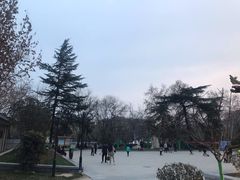 -莲湖公园