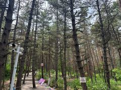 -帽儿山国家森林公园