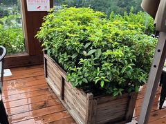 -小茶闲舍·观景商务茶馆(广州塔店)