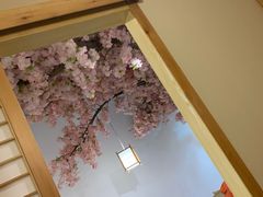 -活鳗饭·鹅肝范儿(高碑店店)
