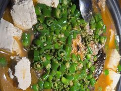 -探鱼·鲜青椒爽麻烤鱼(番禺万达店)