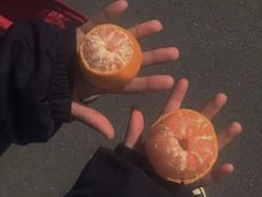 -书亦烧仙草(武侯五大花园店)