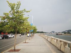 -长洲岛