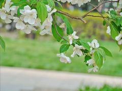 -元大都城垣遗址公园