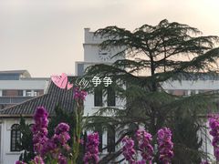 -锡师附小学(学前街校区)