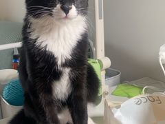 -芭比堂动物医院·犬猫全科·异宠专科(雁塔分院)