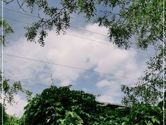 -仁寿山