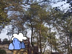 -缙云山景区