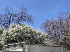 -北京鲁迅博物馆(北京新文化运动纪念馆鲁博馆区)
