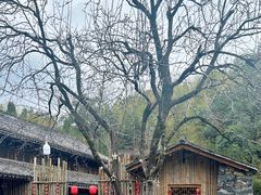 -乌岩头民俗博物馆