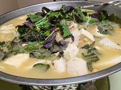 -史记安仁鱼头(浙闽赣食用菌交易中心店)