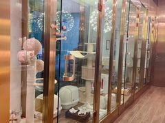 -猫大福·Fortune Cat猫舍(百子湾店)