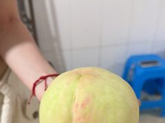 -老袁家蜜桃农场·阳山水蜜桃