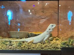 -奇幻萌宠部落(映月湖环宇城店)