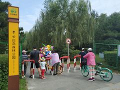 -长白岛森林公园