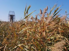 -永定河休闲森林公园