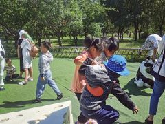 -长春公园(普阳街道)