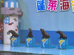 -蓬莱欧乐堡海洋极地世界