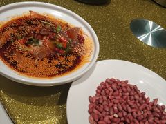 -大鸭梨烤鸭(顺义石园店)