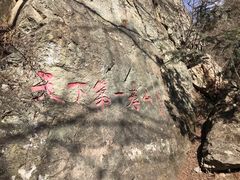 -王顺山国家森林公园